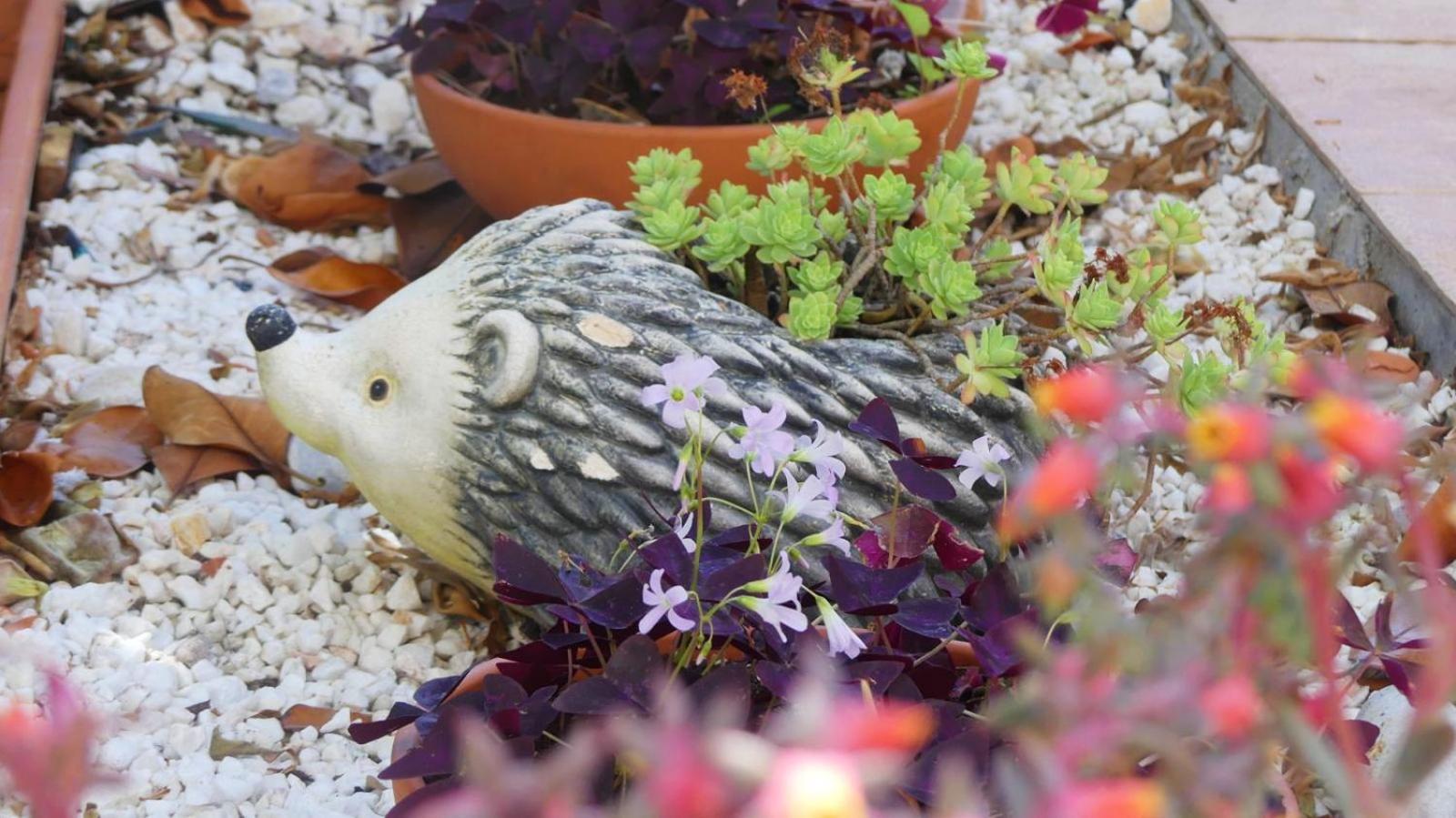 Aparthotel Garden House Katerina Leptokaria Exteriér fotografie